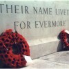 Finding war dead cwgc